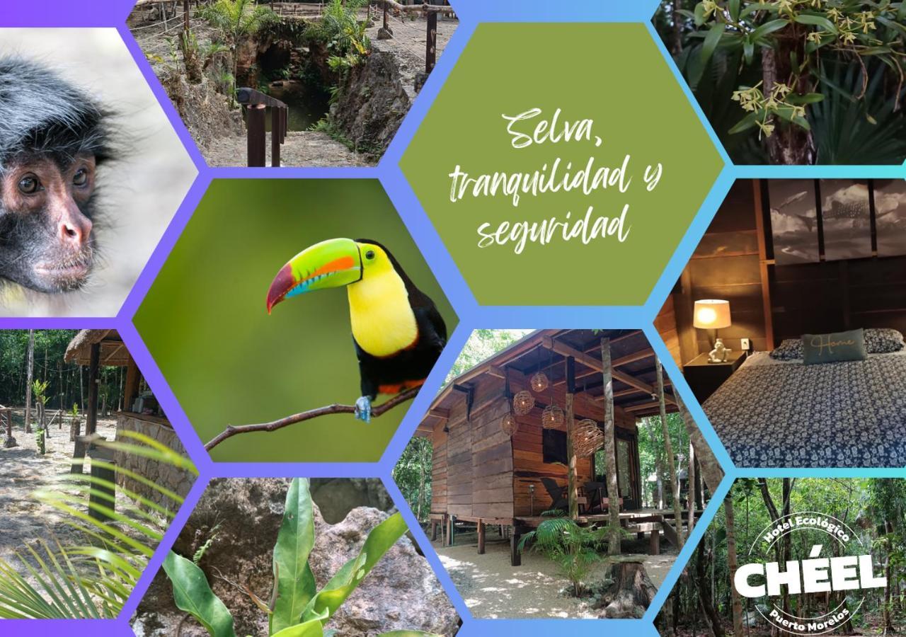 Chéel Cabañas&camping * Puerto Morelos