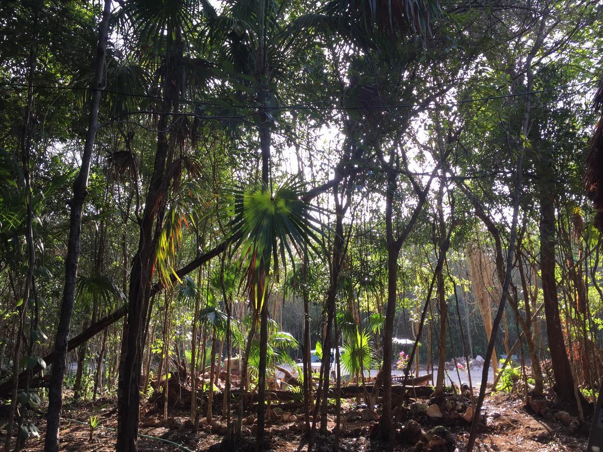 Lodge Chéel Cabañas&camping *