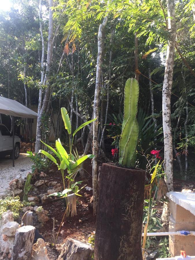 Chéel Cabañas&camping