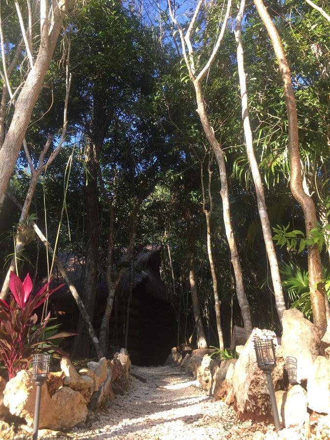 Chéel Cabañas&camping Lodge *
