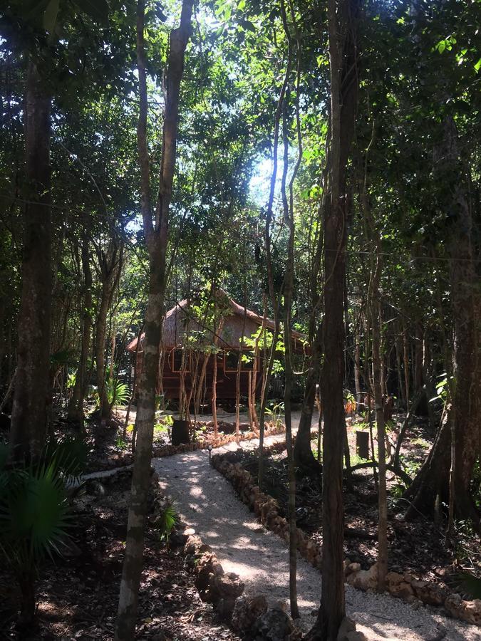 Chéel Cabañas&camping * Puerto Morelos