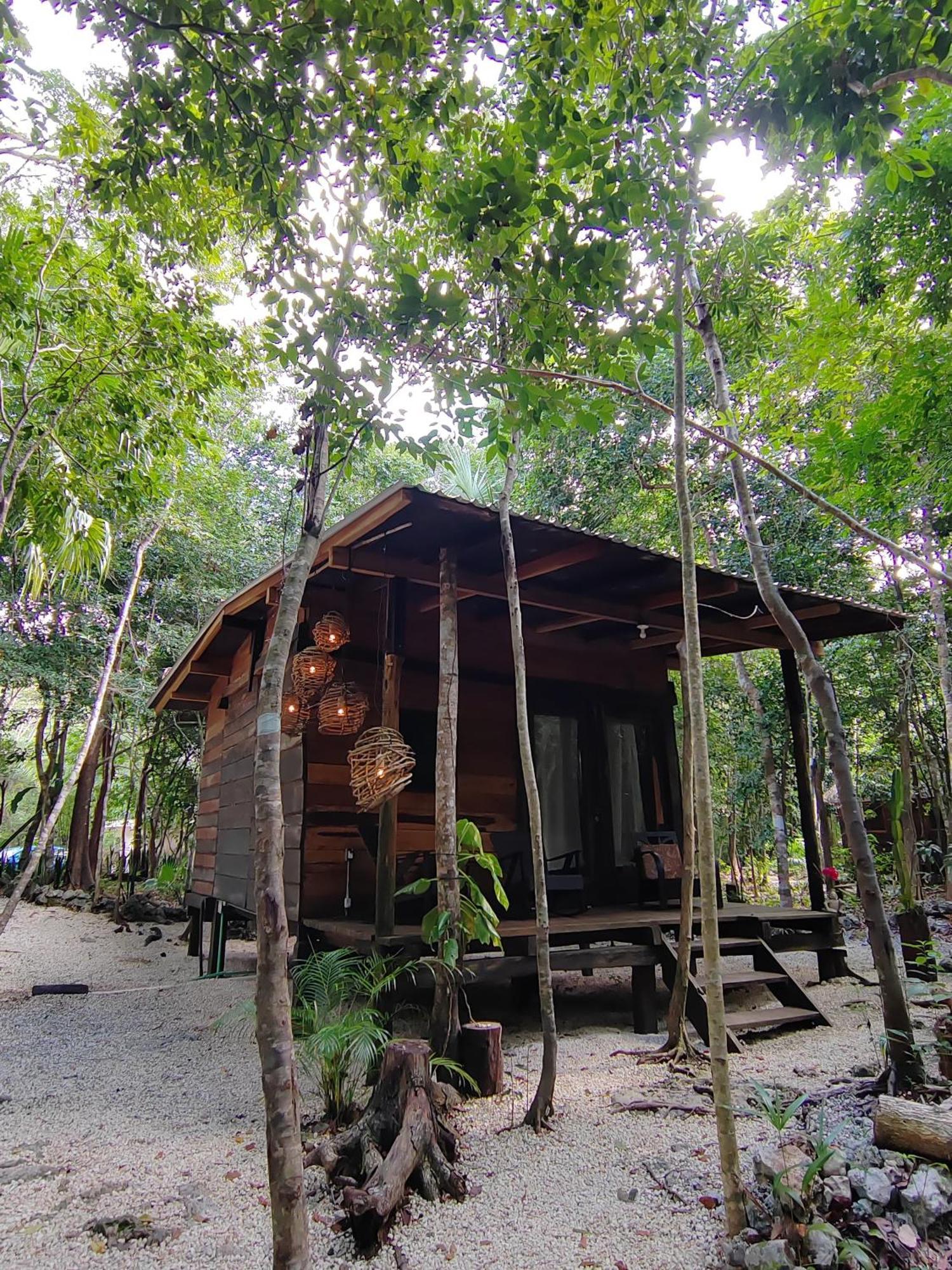 Lodge Cheel &