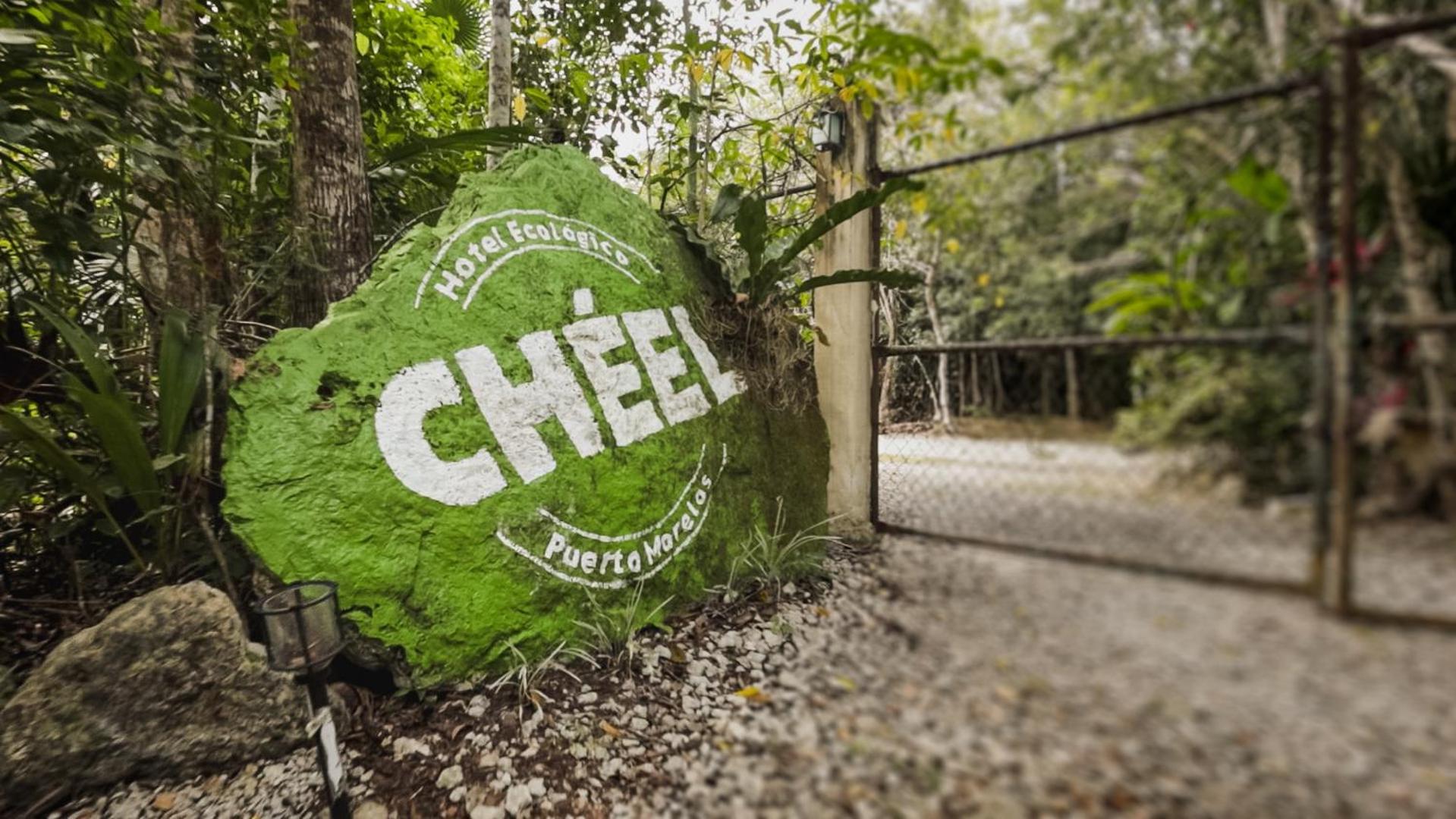 Cheel & Lodge *
