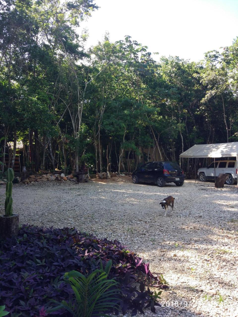 Lodge Cheel &